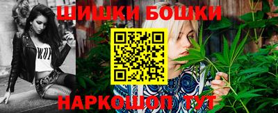 индика Ливны