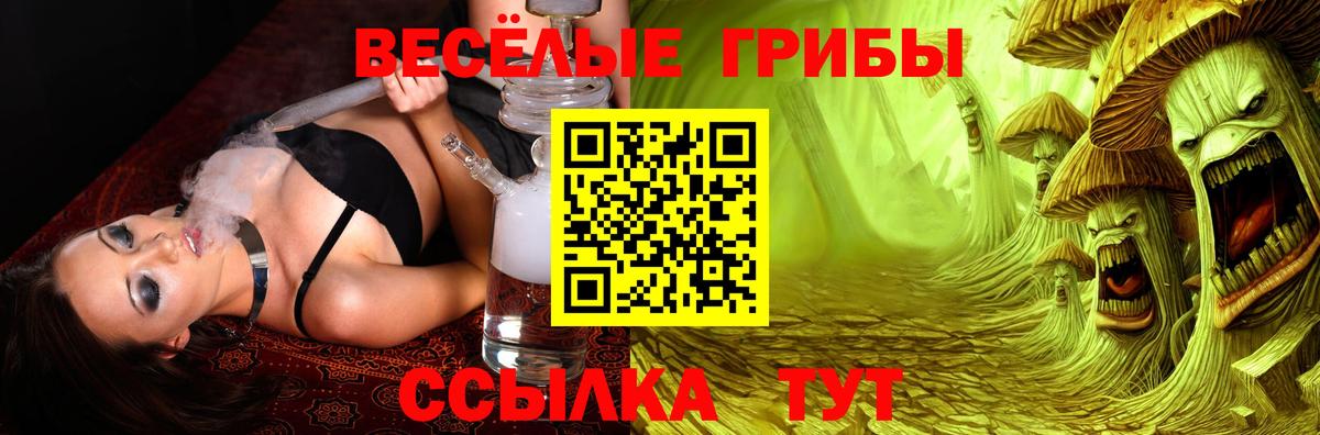 Псилоцибиновые грибы мухоморы  Галлюциногенные грибы GOLDEN TEACHER  Вход с VPN  Феодосия 